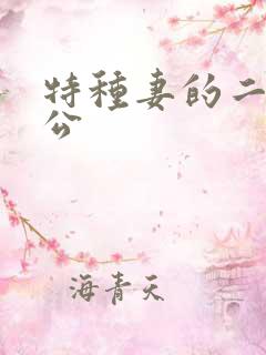 特种妻的二手老公