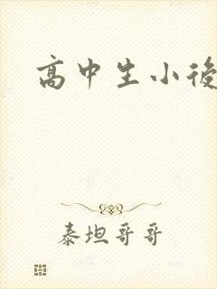 高中生小后妈