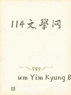 114文学网