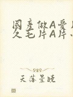 国产做A爱片久久毛片A片小说