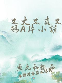 又大又爽又黄无码A片小说