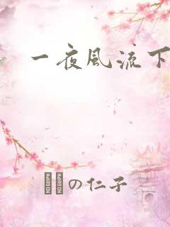 一夜风流下载