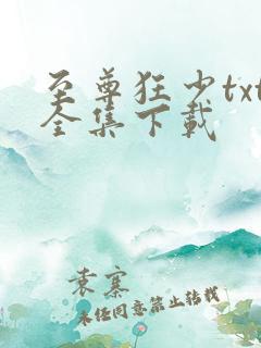 至尊狂少txt全集下载