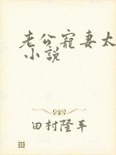 老公宠妻太甜蜜 小说