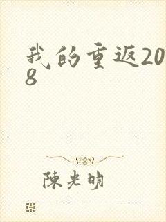 我的重返2008