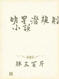 明星潜规则之皇 小说