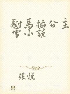 驸马插公主恋战雪小说