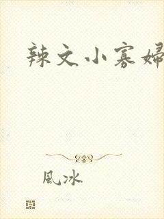 辣文小寡妇