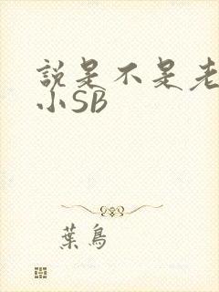 说是不是老公的小SB