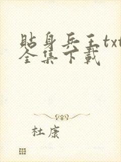 贴身兵王txt全集下载