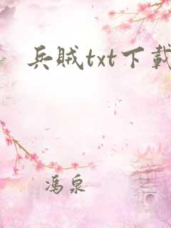 兵贼txt下载
