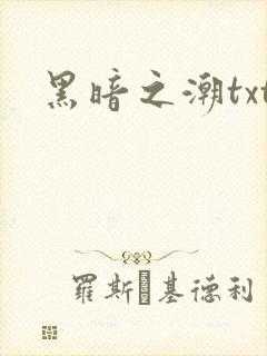 黑暗之潮txt