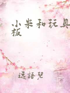 小米和玩具店老板