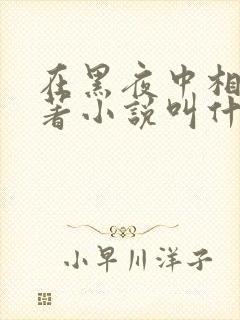 在黑夜中相拥原著小说叫什么