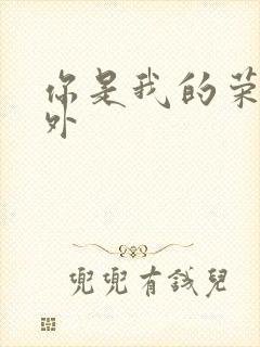 你是我的荣耀番外