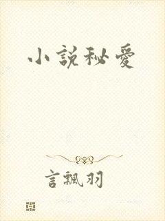 小说秘爱