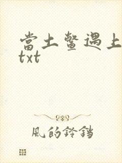 当土鳖遇上海龟txt