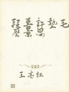 段嘉许垫毛巾什么意思