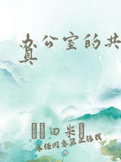 办公室的共享玩具