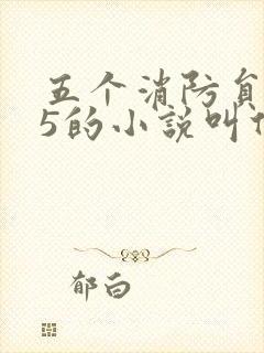 五个消防员1v5的小说叫什么