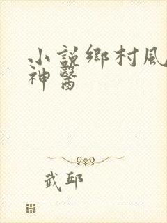 小说乡村风流小神医