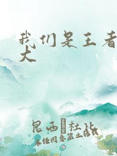 我们是王者立海大