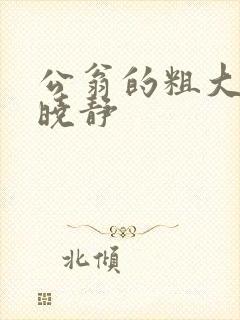 公翁的粗大放进晓静