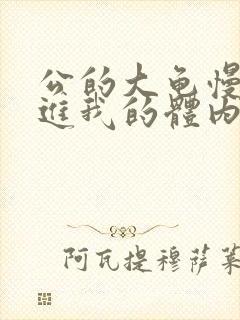 公的大龟慢慢挺进我的体内小说