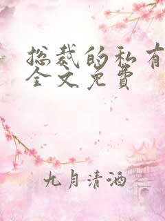 总裁的私有宝贝全文免费