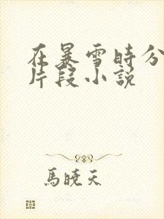 在暴雪时分高能片段小说