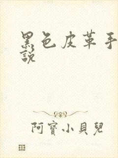 黑色皮革手册小说