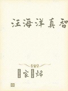 汪海洋真智师太