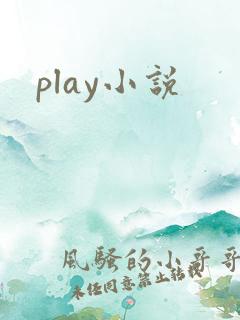 play小说