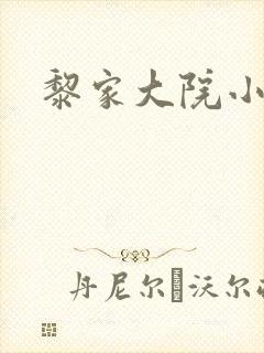 黎家大院小说