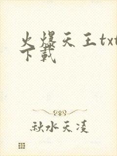 火爆天王txt下载