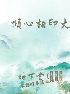 倾心相印大结局