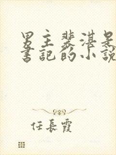 男主裴湛是省委书记的小说