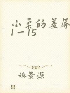 小柔的羞辱日记1一15