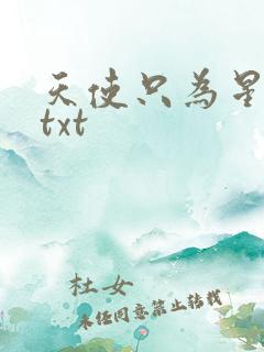天使只为星夜哭txt