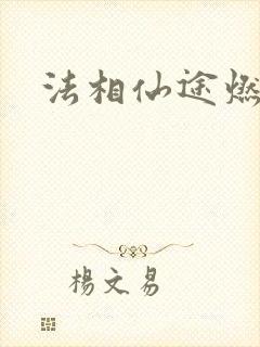 法相仙途燃文
