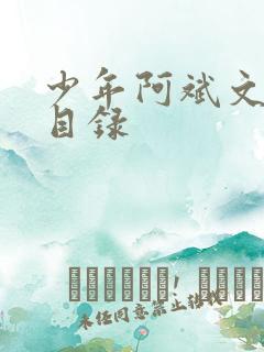 少年阿斌文说读目录