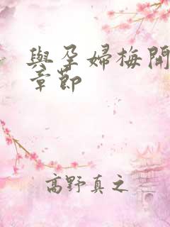 与孕妇梅开三度章节