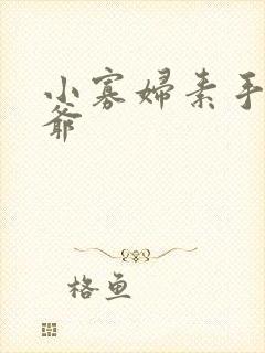 小寡妇素手擒四爷