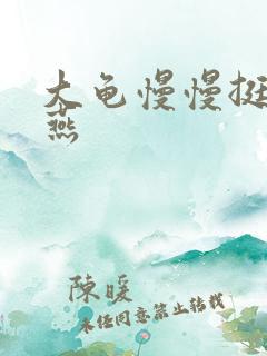 大龟慢慢挺进张燕