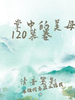 掌中的美母版主120慕卷