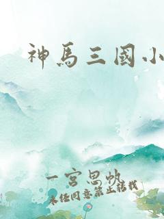 神马三国小秘