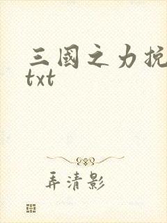 三国之力挽狂澜txt