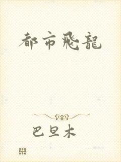 都市飞龙