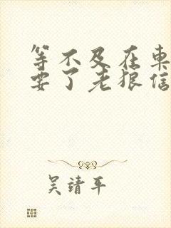 等不及在车里就要了老狼信息