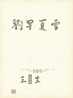 刘星夏雪
